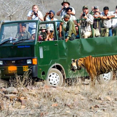 Corbett Fun Tour - 1 Jeep & 1 Canter Safari