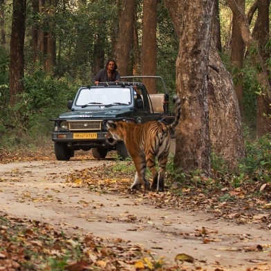 2 Night Tour With 1 Jeep And 1 Canter