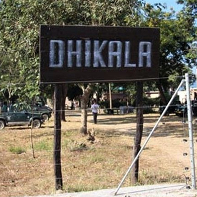 CORBETT DHIKALA TOUR