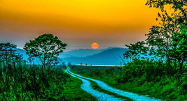 Jim Corbett National Park