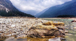 Yumthang Valley Lachung