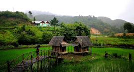 Ziro Valley